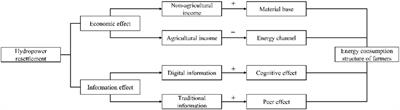 Relocation of hydropower immigrants and transformation of farmers’ energy consumption structure: an empirical study from western China